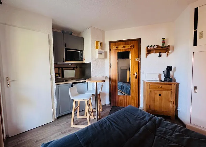 Apartment Studette Cosy Pour 2 Aux Deux Alpes Avec Balcon - Fr-1-546-62